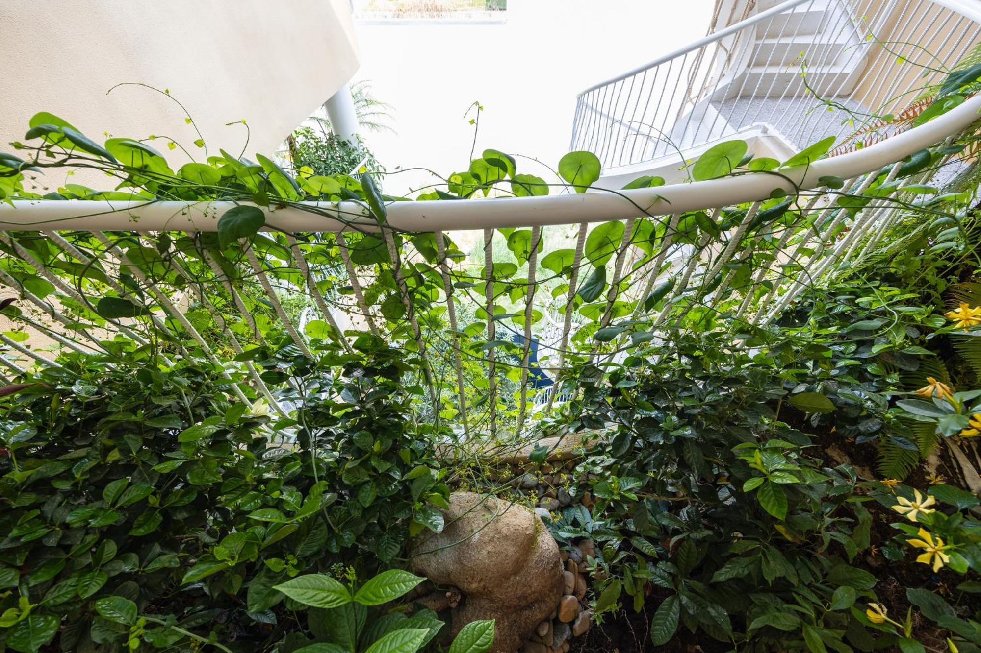 Saha Casa Boutique Hotel Дананг Экстерьер фото